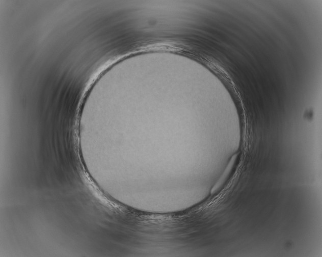 X0000115120800200912081343