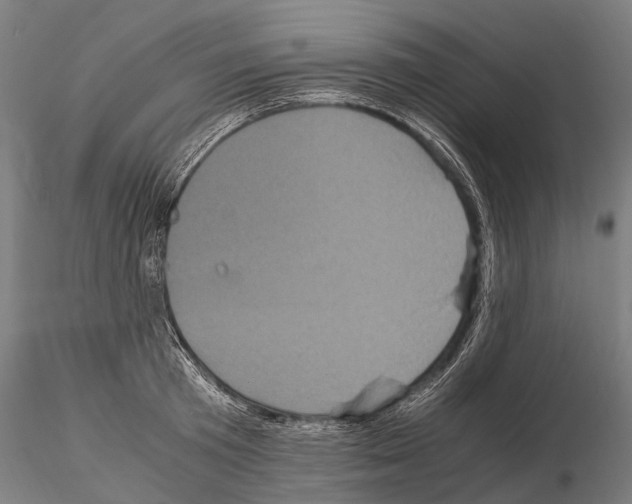 X0000115120801200912081343