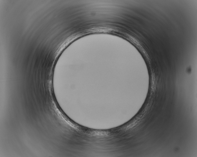 X0000115120802200912081343