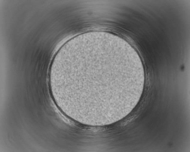 X0000115120803200912081343