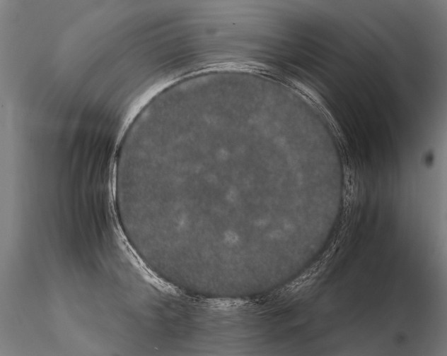 X0000115120804200912081343