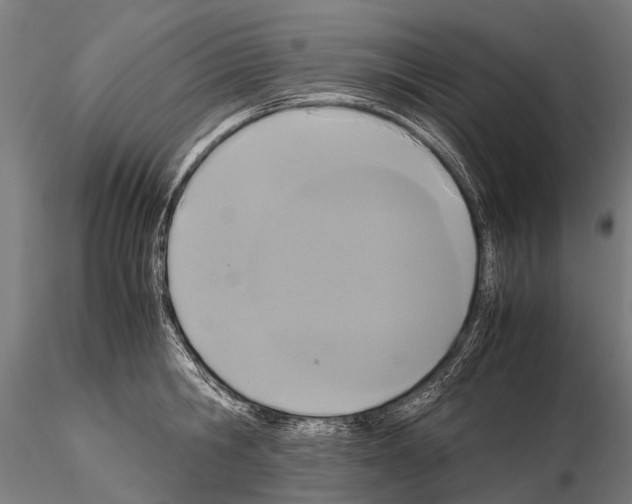 X0000115120806200912081343