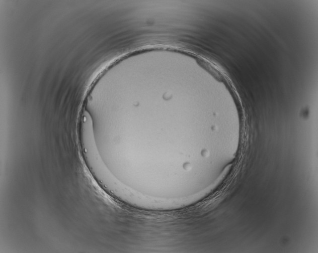 X0000115120807200912081343