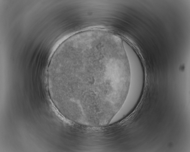 X0000115120808200912081343