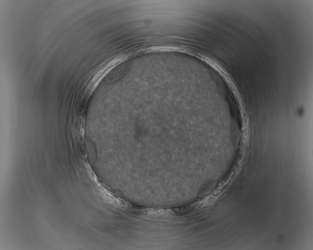 X0000115120809200912081343