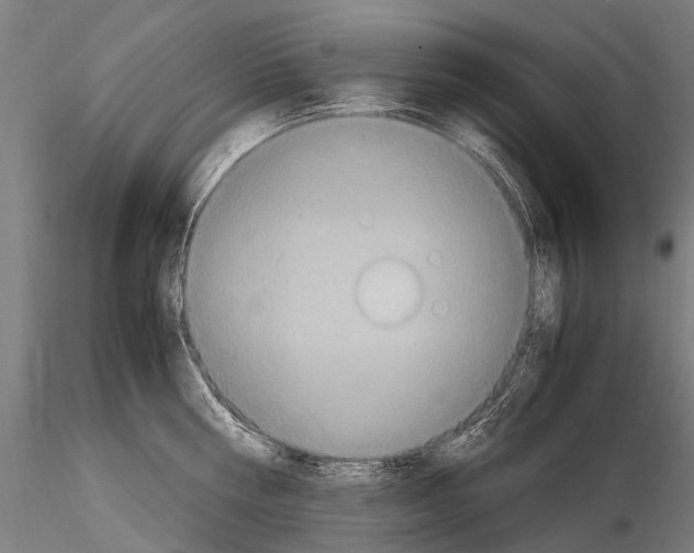 X0000115120810200912081343