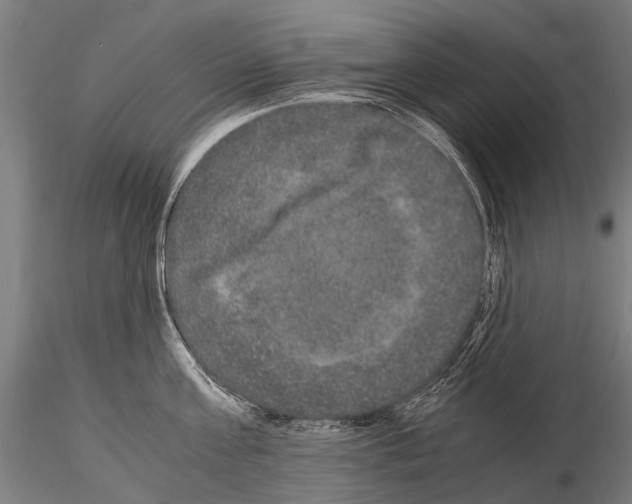 X0000115120811200912081343