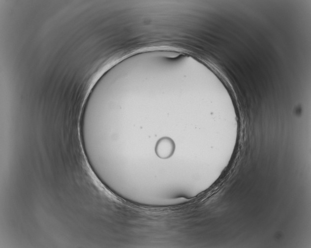 X0000115120813200912081343