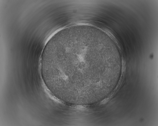 X0000115120814200912081343