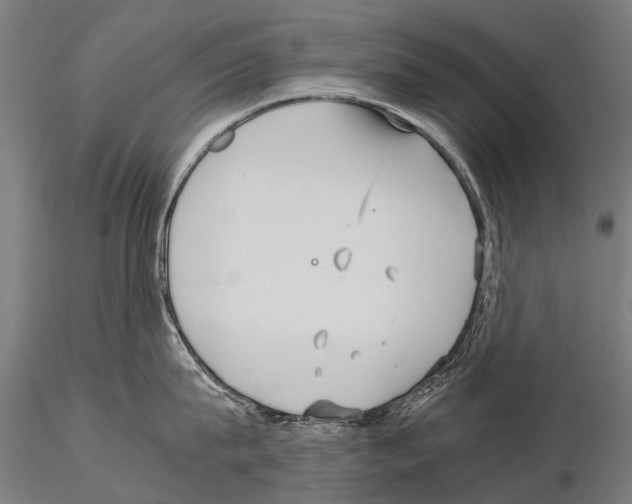 X0000115120815200912081343