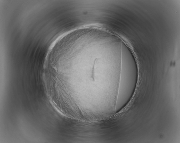 X0000115120816200912081343