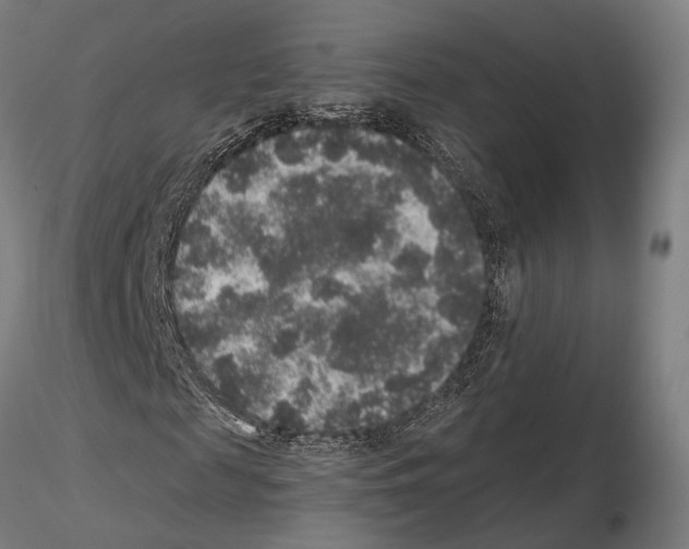 X0000115120817200912081342