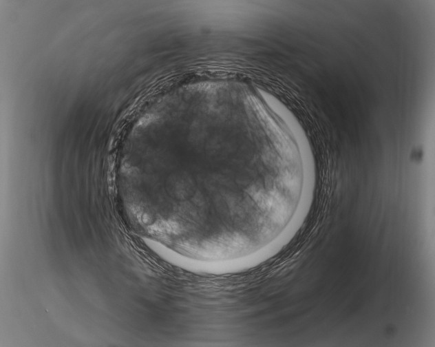 X0000115120818200912081342