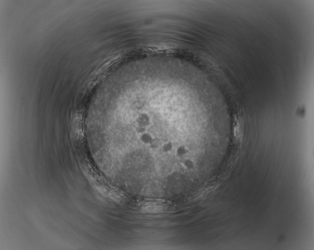 X0000115120819200912081342