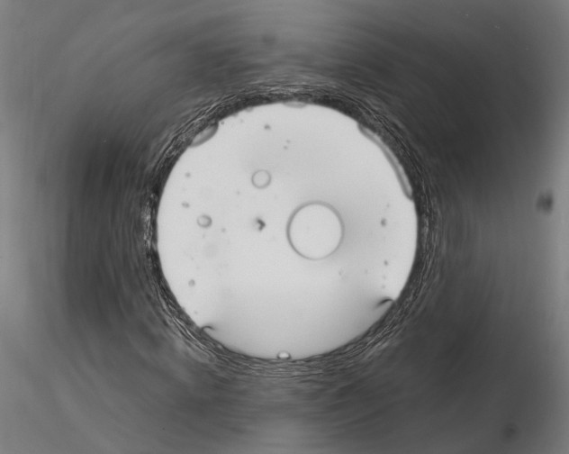 X0000115120820200912081342