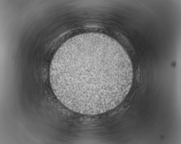 X0000115120821200912081342