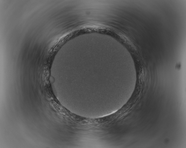 X0000115120822200912081342