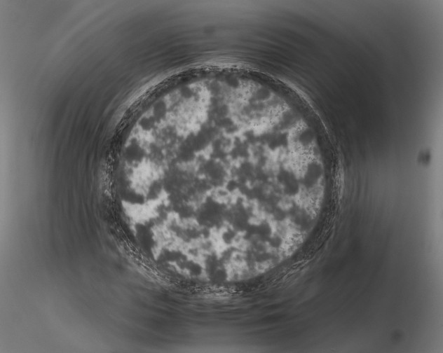 X0000115120823200912081342