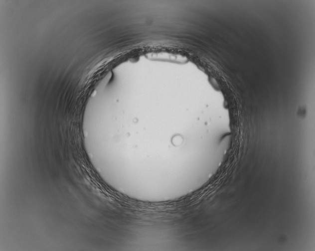 X0000115120824200912081342