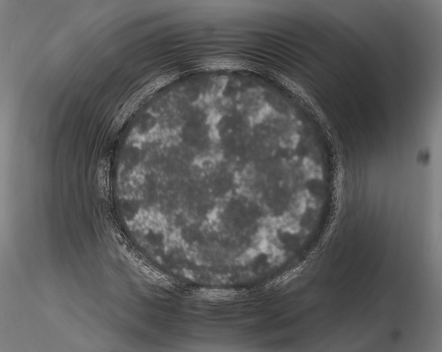 X0000115120825200912081342