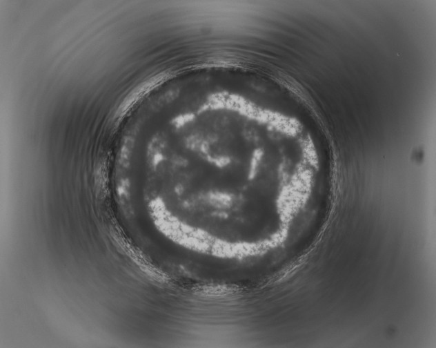 X0000115120826200912081342