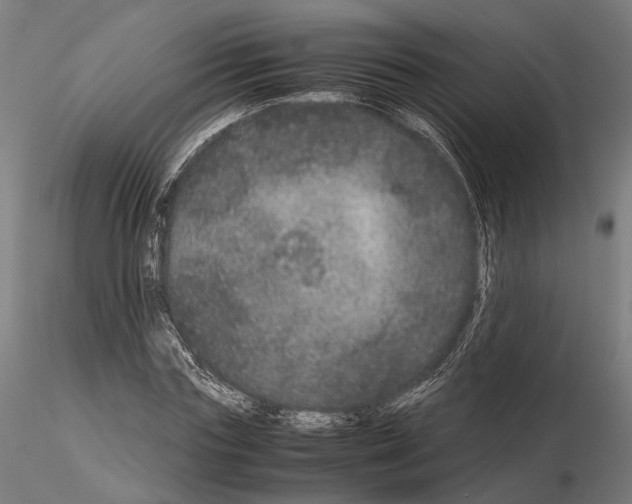 X0000115120827200912081342