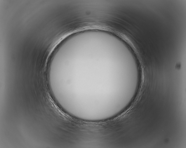 X0000115120828200912081342