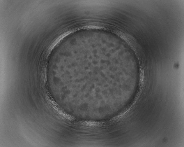 X0000115120829200912081342