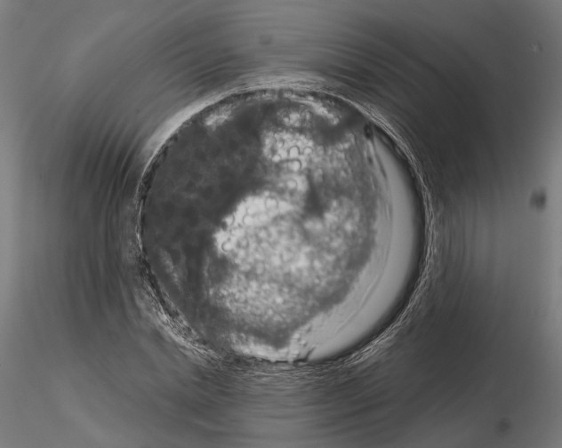 X0000115120830200912081342