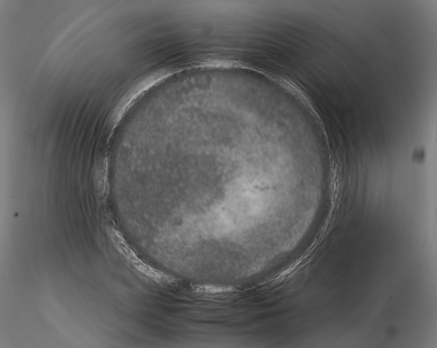 X0000115120831200912081342