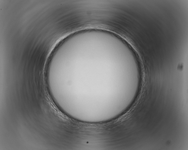 X0000115120832200912081342