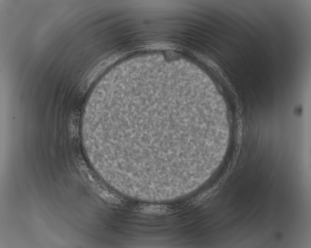 X0000115120833200912081342