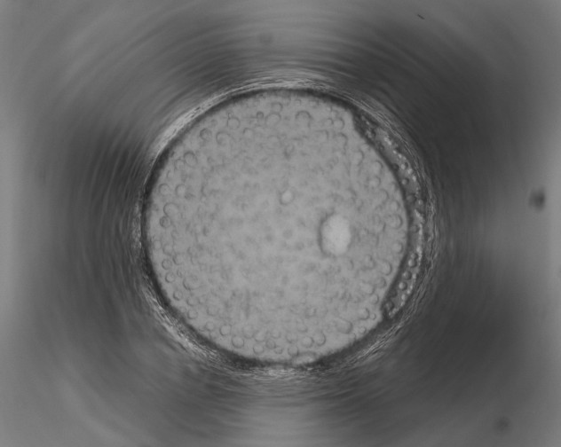 X0000115120834200912081342