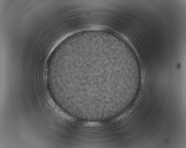 X0000115120835200912081342