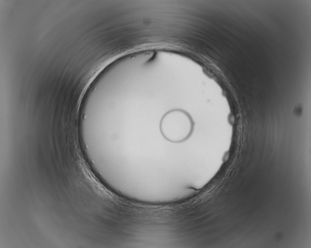 X0000115120836200912081342