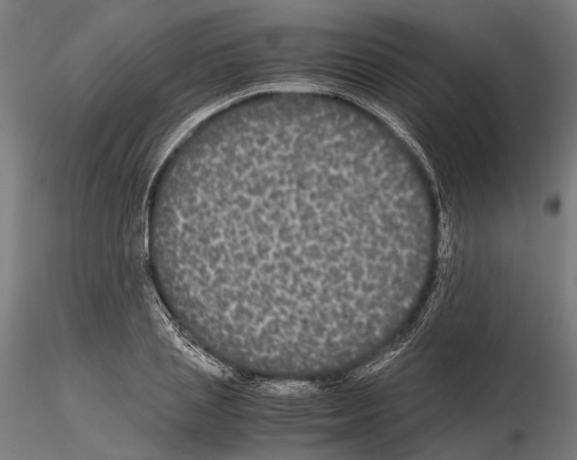 X0000115120837200912081342