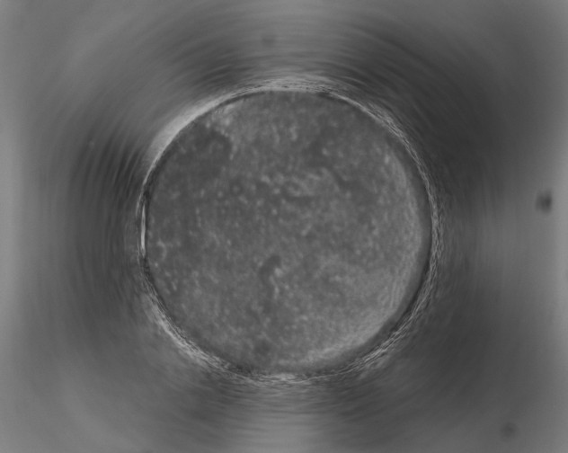 X0000115120838200912081342