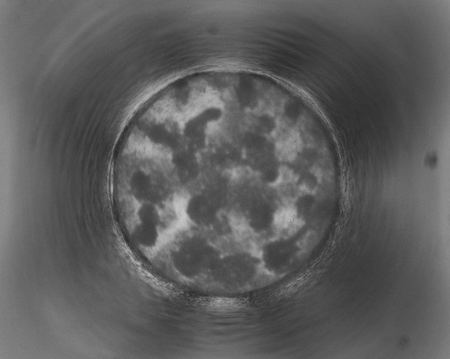 X0000115120839200912081342