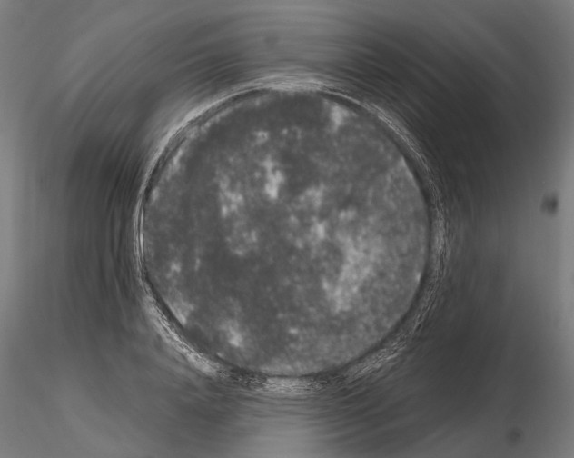 X0000115120840200912081342