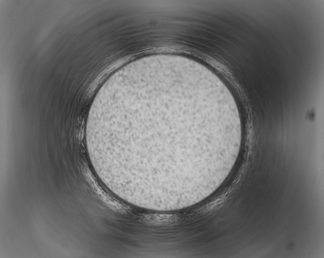 X0000115120841200912081342