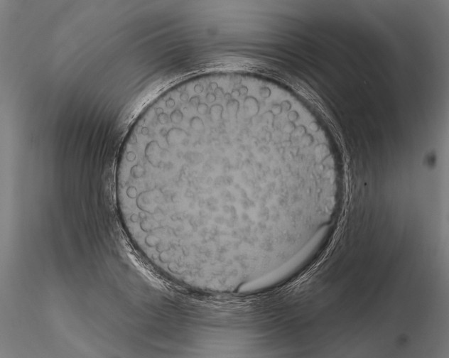 X0000115120842200912081342