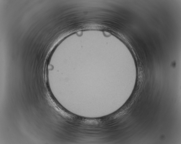 X0000115120843200912081342