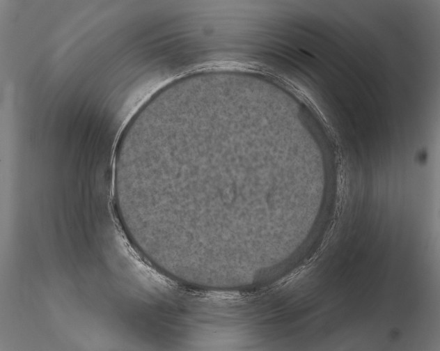 X0000115120844200912081342