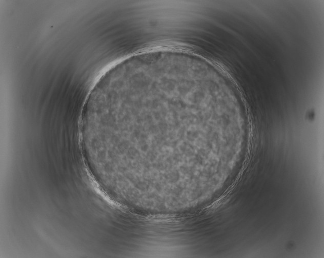 X0000115120846200912081342