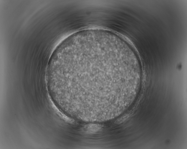 X0000115120847200912081342