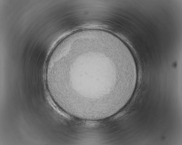 X0000115120848200912081342