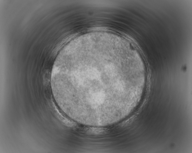 X0000115120849200912081342