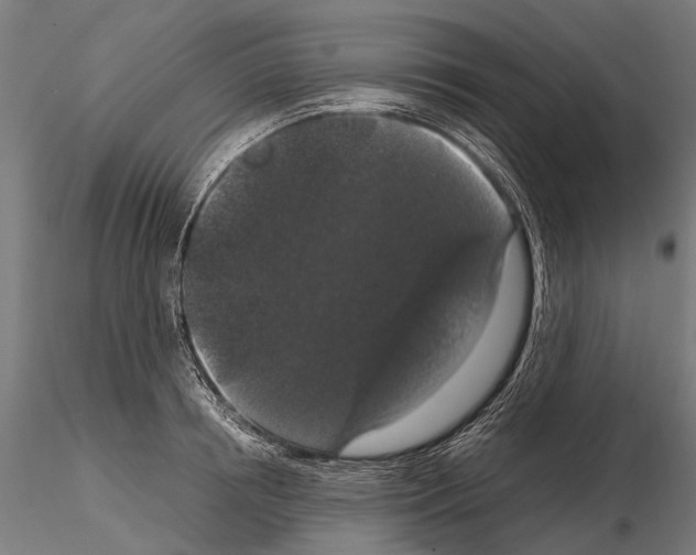 X0000115120850200912081342