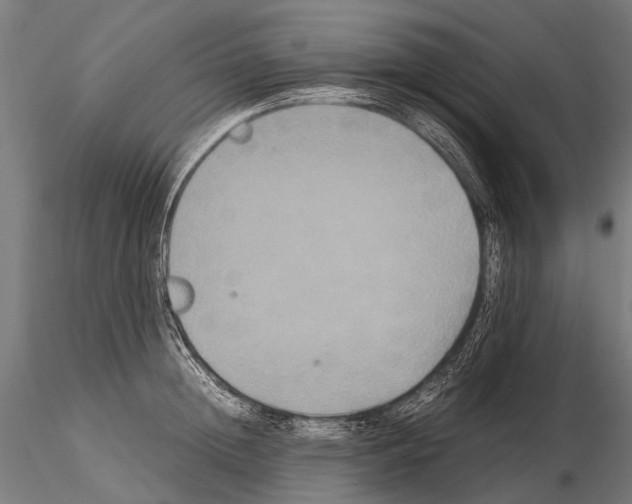 X0000115120852200912081343