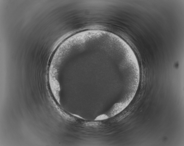 X0000115120853200912081343